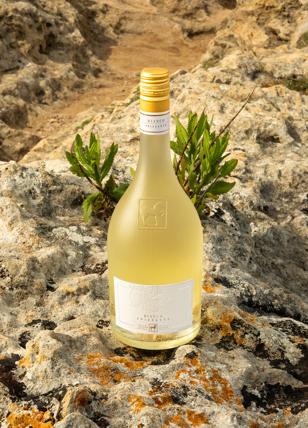 Premium Frizzante Bianco