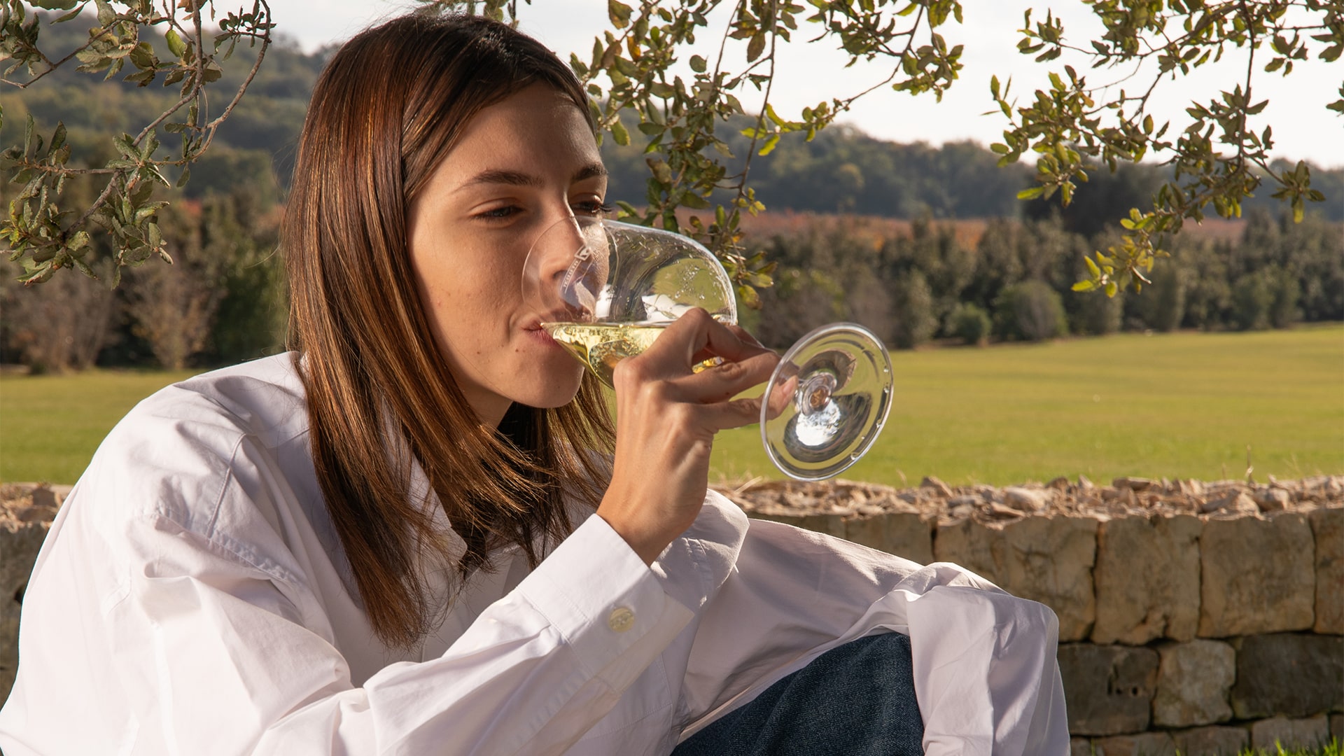 Come degustare un vino: guida pratica e semplice all’assaggio